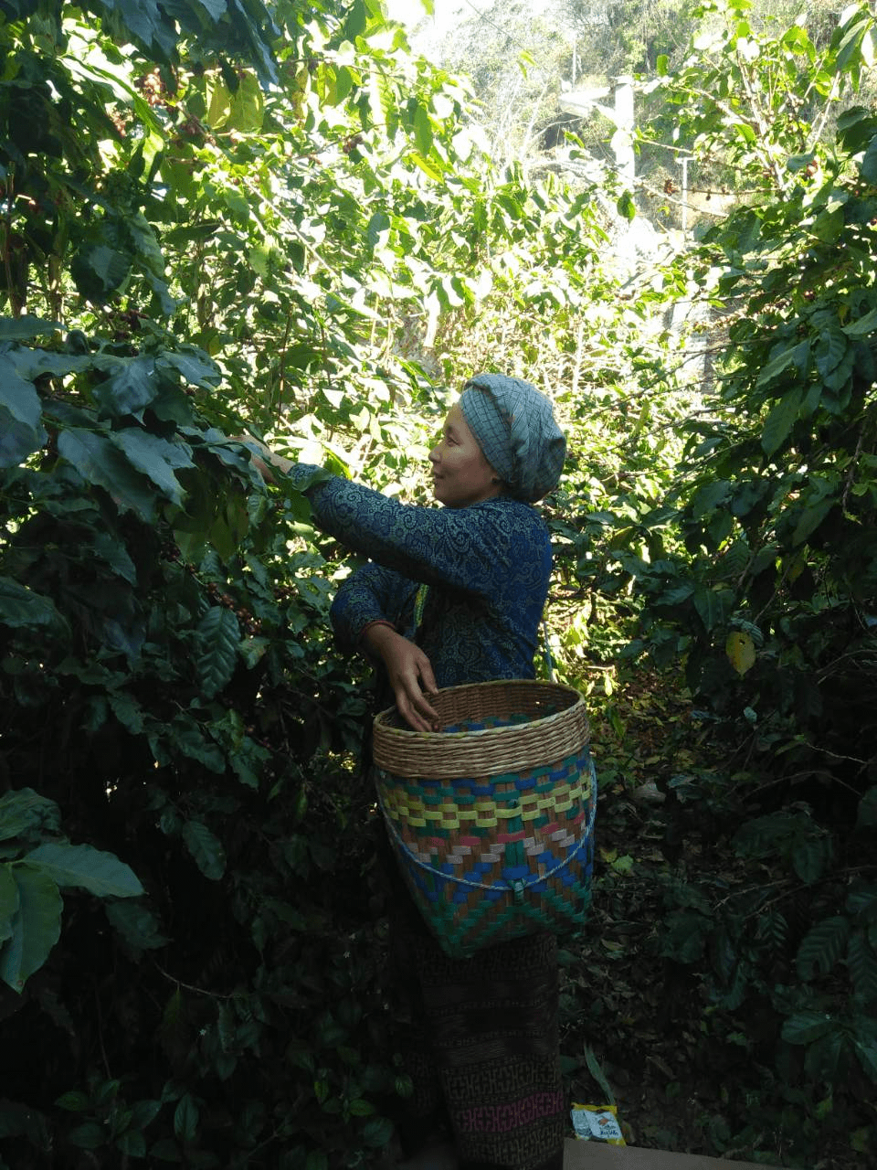 image-5