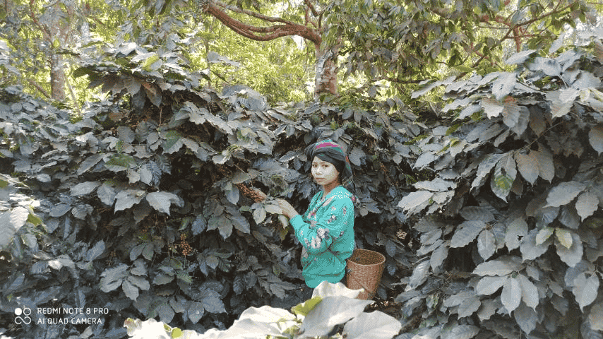 image-37