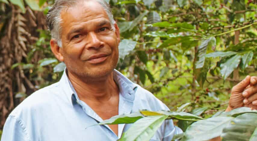 Cuatro Caminos Coffee Estates