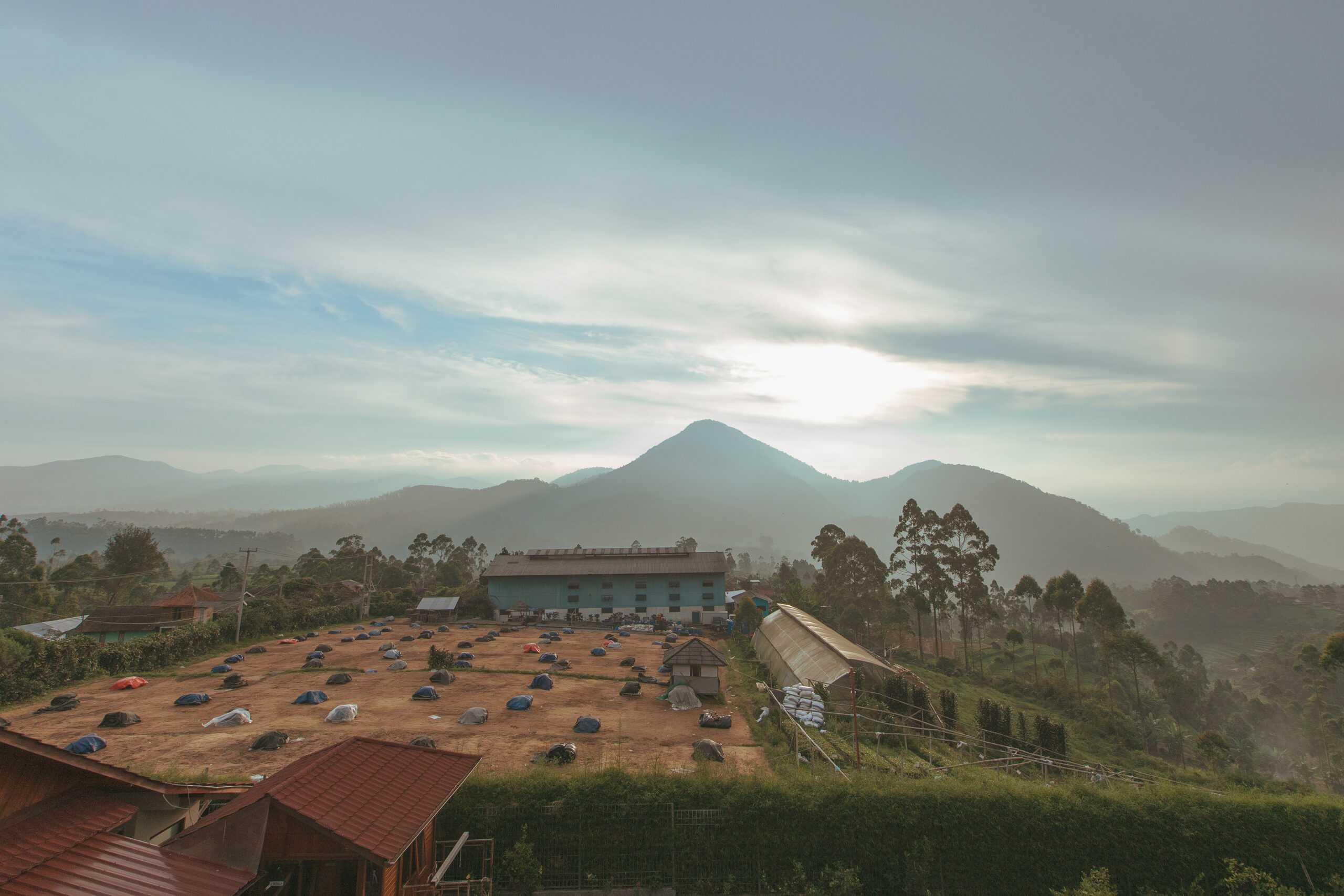 Indonesia Harvest Update 2024/25