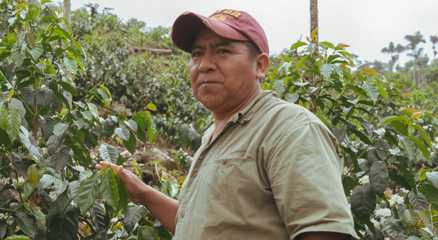 Finca Senda Salvaje 