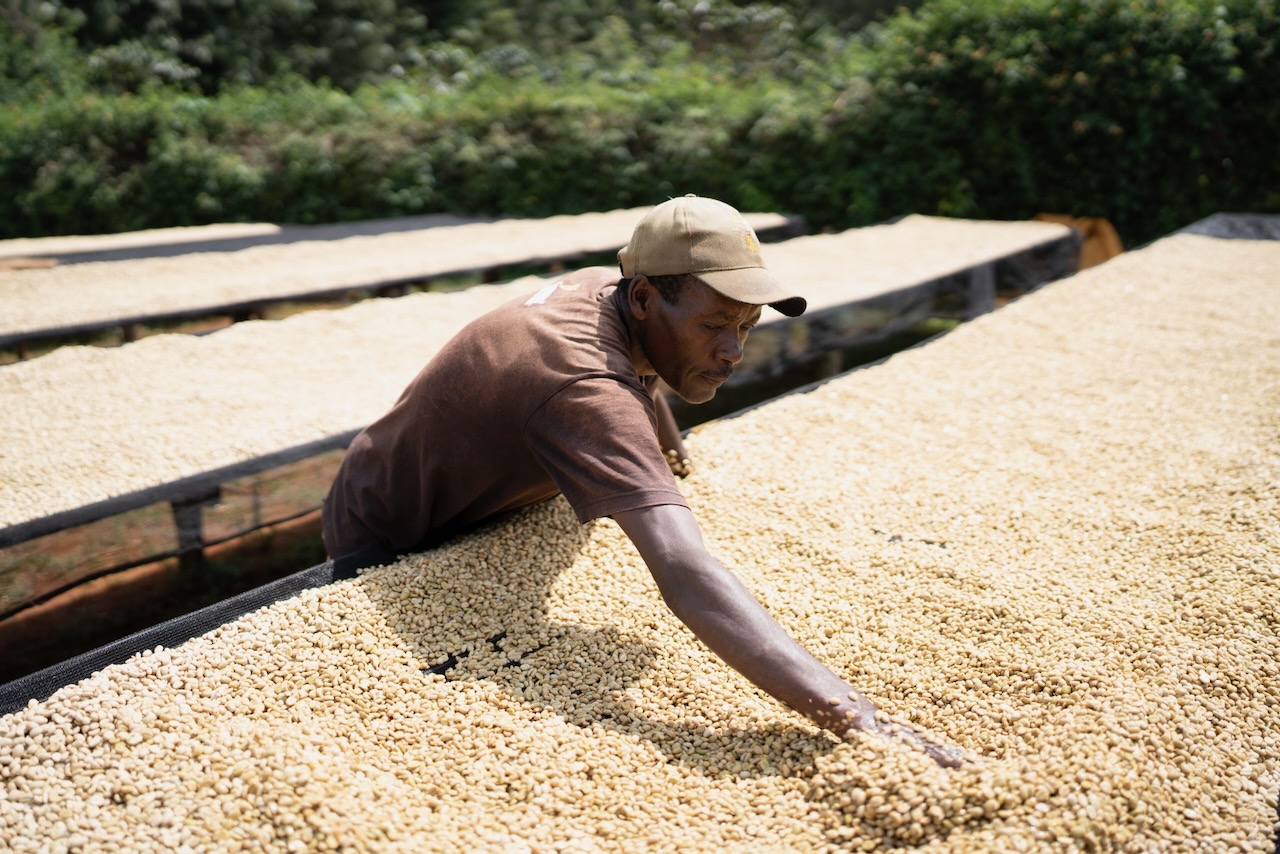 Kenya Harvest Update 2024/25
