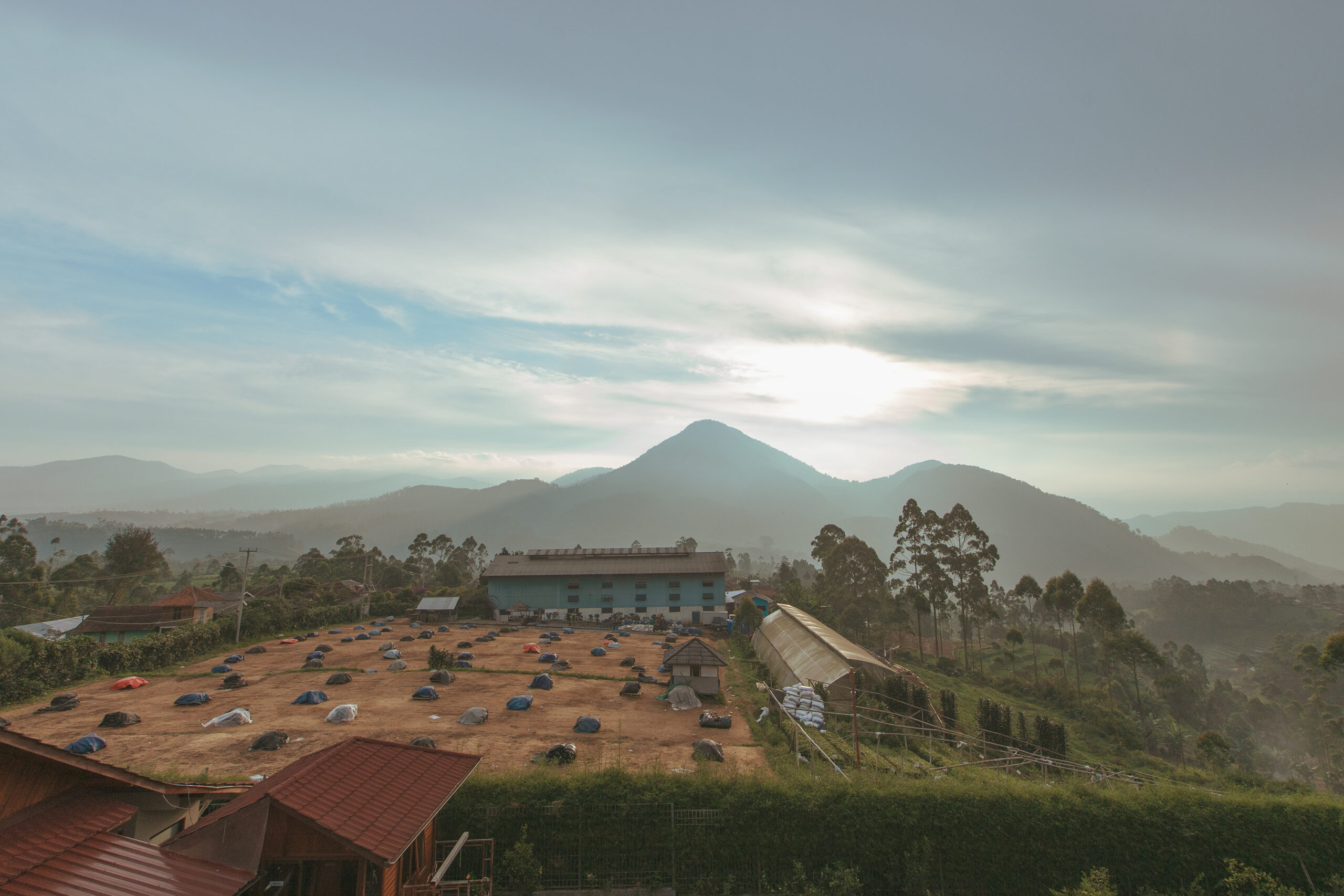 Indonesia Harvest Update 2024/25