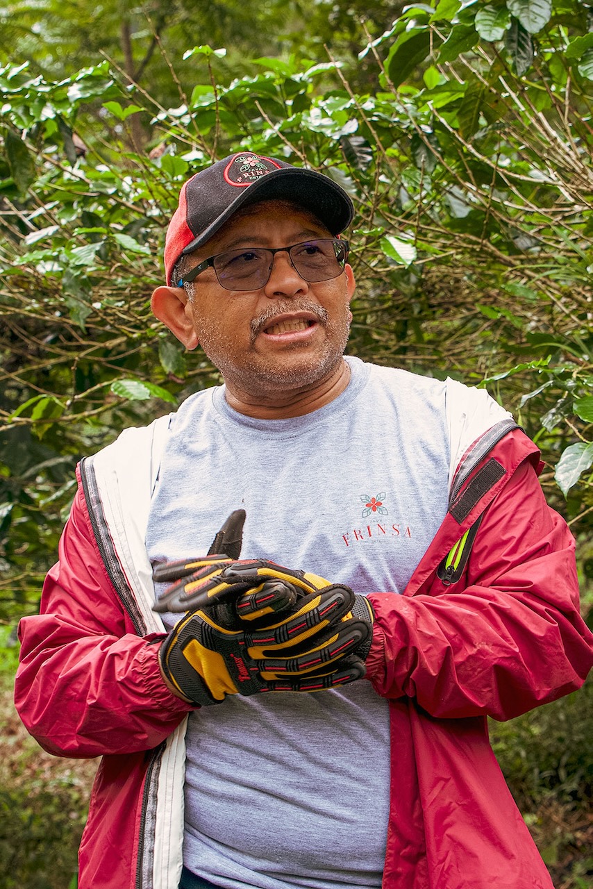 Java Frinsa Estate Wildan Mustofa