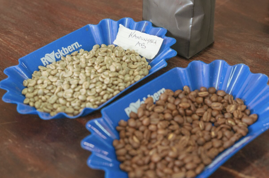 Is Screen Size a Quality Indicator? — Tips for Sourcing Kenyan Coffee