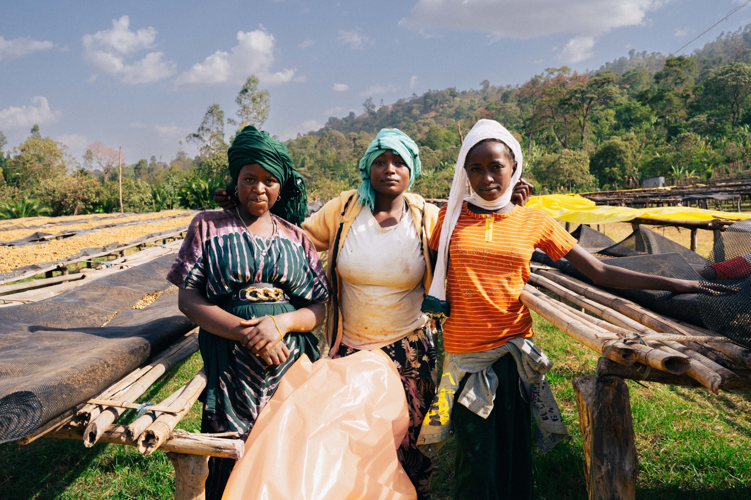 <strong>Ethiopia Harvest Update 2025/26</strong>