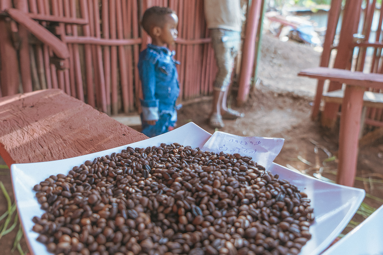 Ethiopia | TYPICA, comunidad de comercio directo de café de especialidad