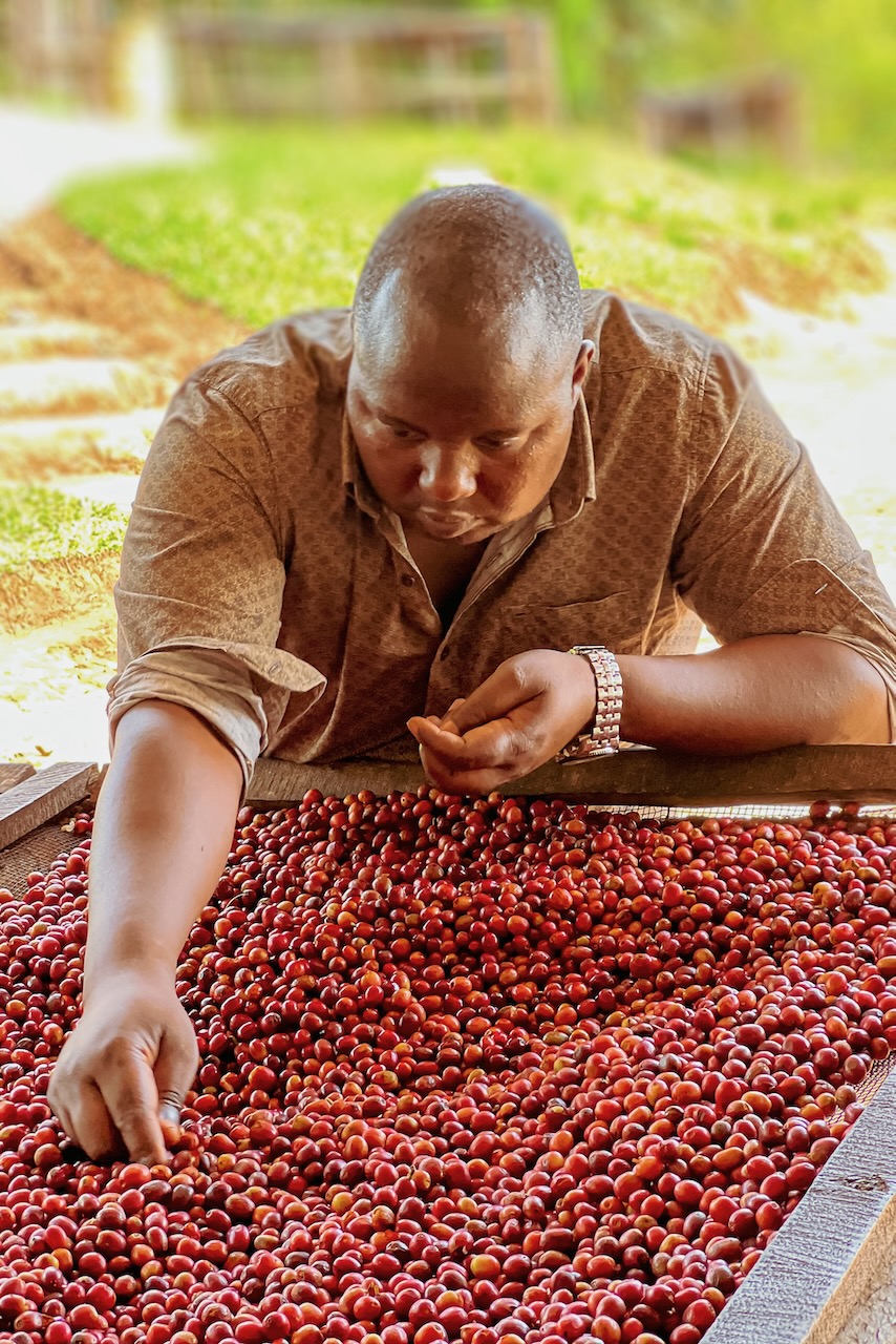 Baho Coffee Rusatira Emmanuel