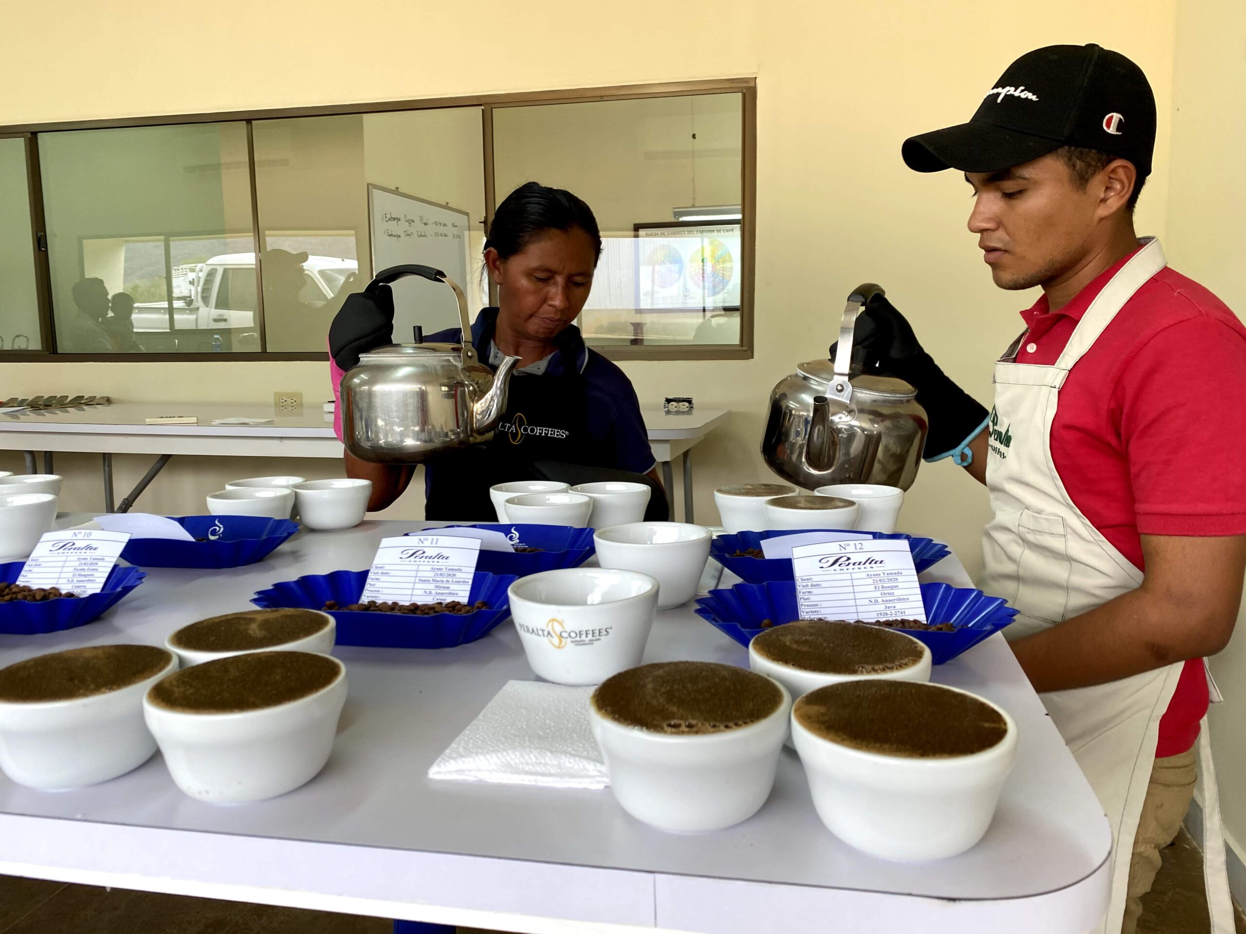 TYPICA Presentation Cupping 2020 Spring