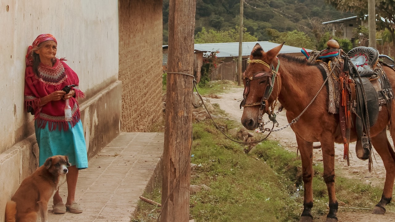 ホンジュラス / Honduras
