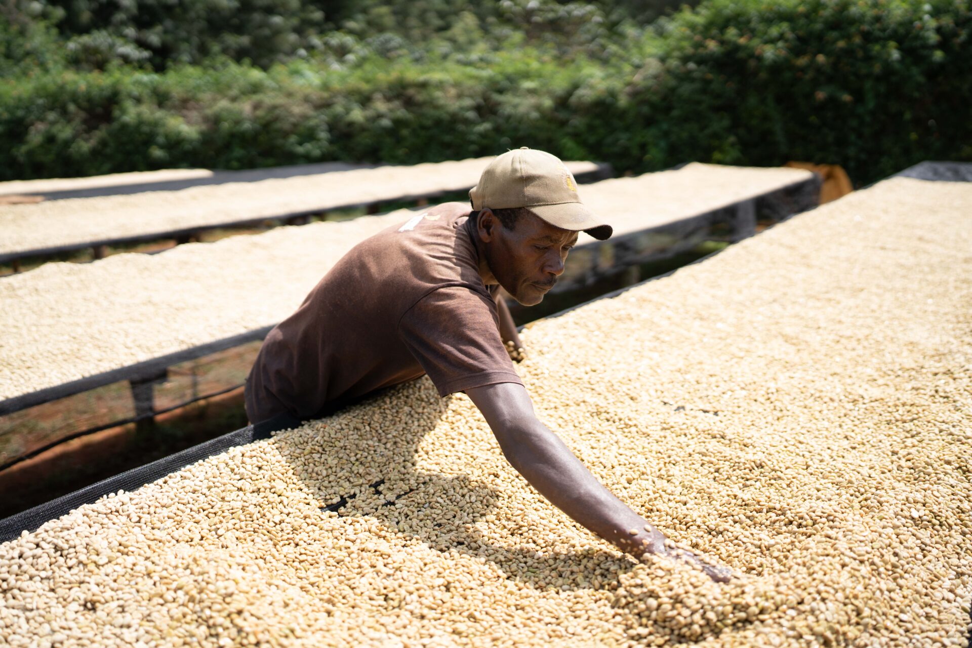 Kenya Harvest Update 2024/25