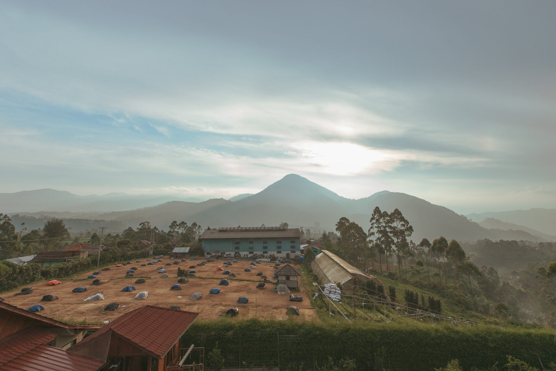 Indonesia Harvest Update 2024/25