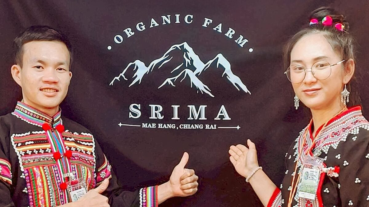 Srima9 Joe / Mild