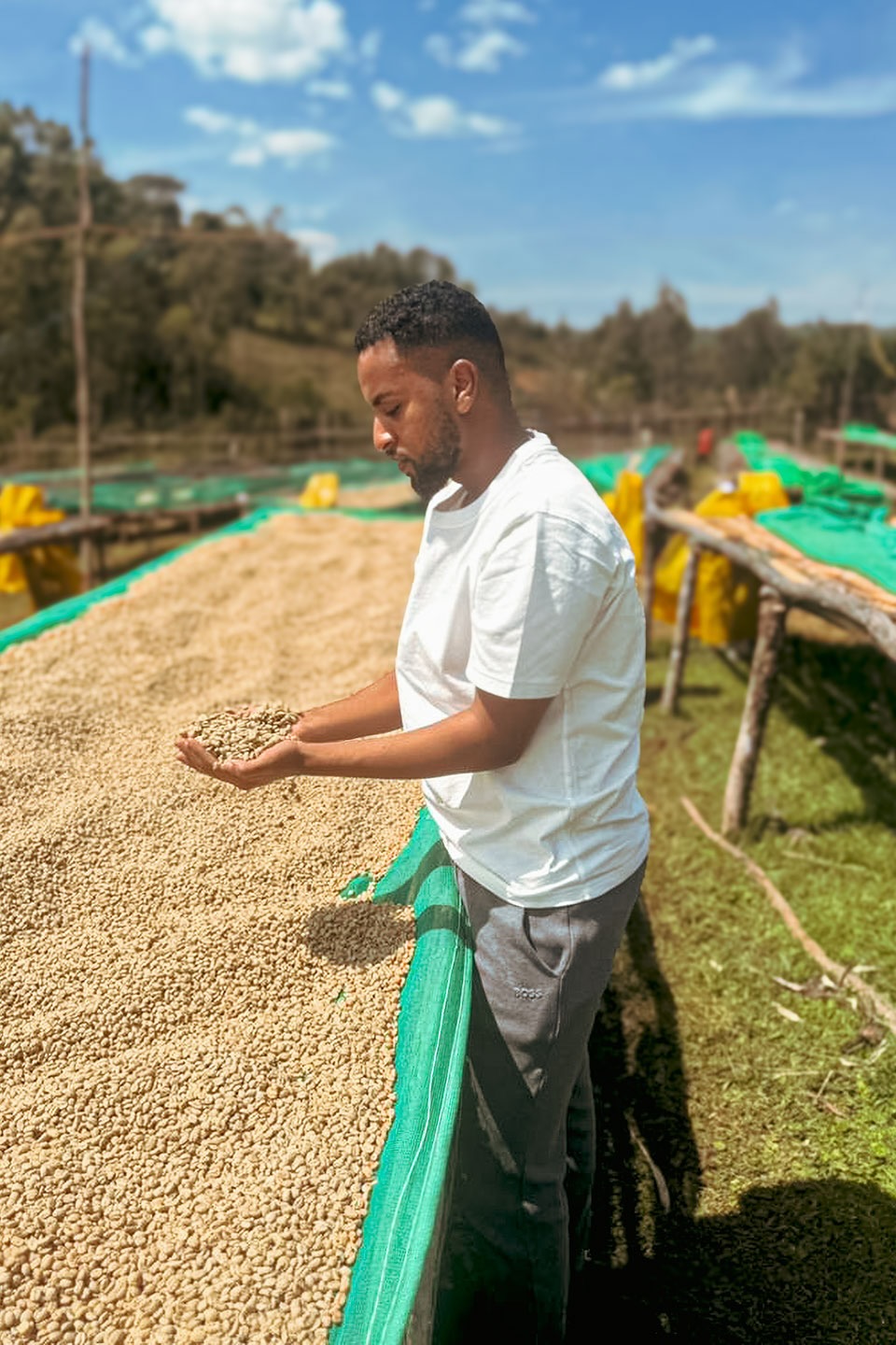 Tracon Coffee Export Samih Oumer