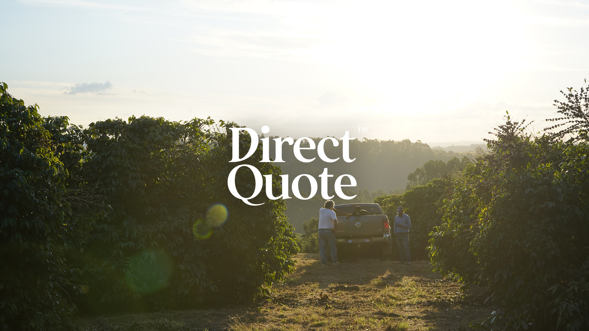 ブラジルの生産者と、直接つながる。見積もり依頼のステップ | TYPICA Direct Quote™