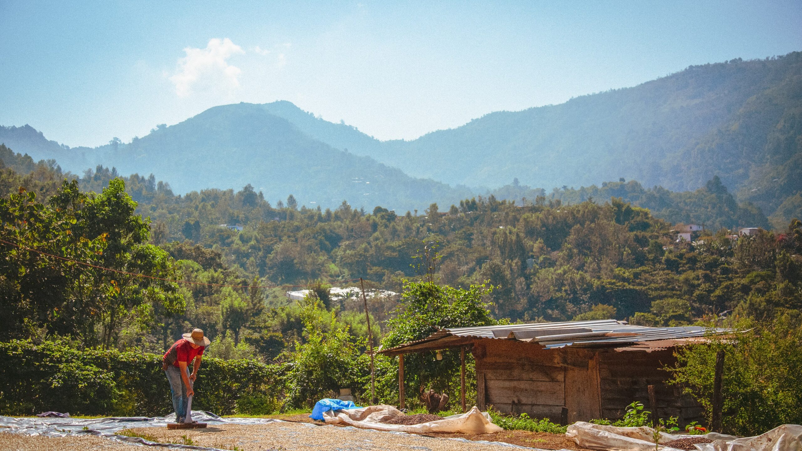 Guatemala